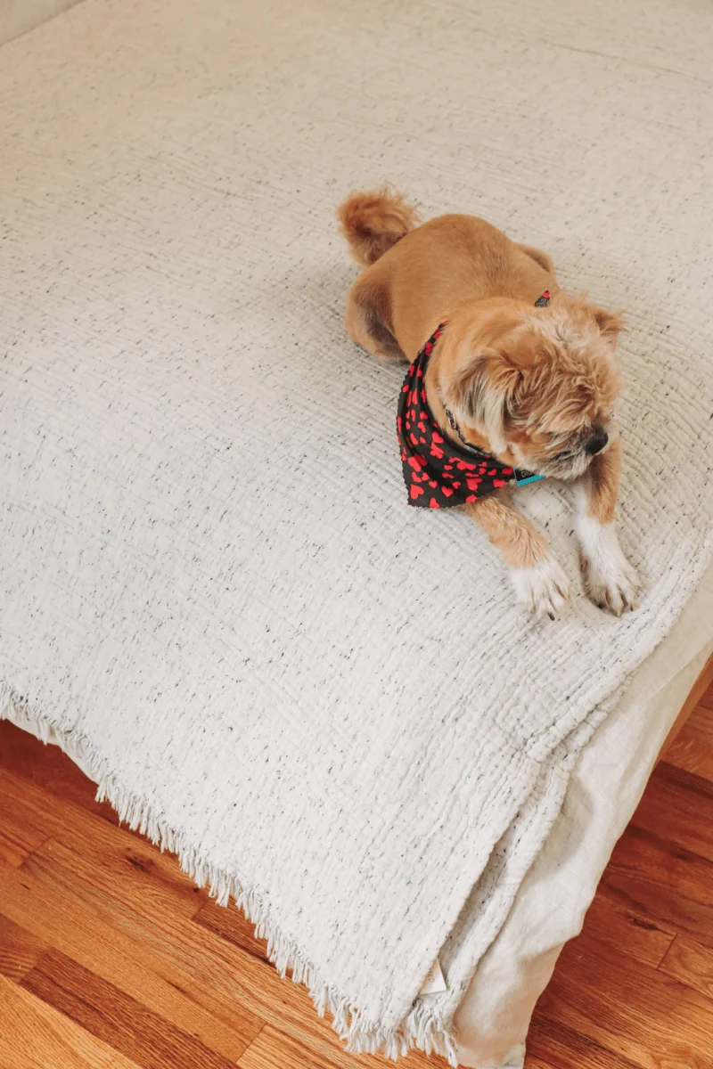Limited Edition Pamuk Blanket - Image 16